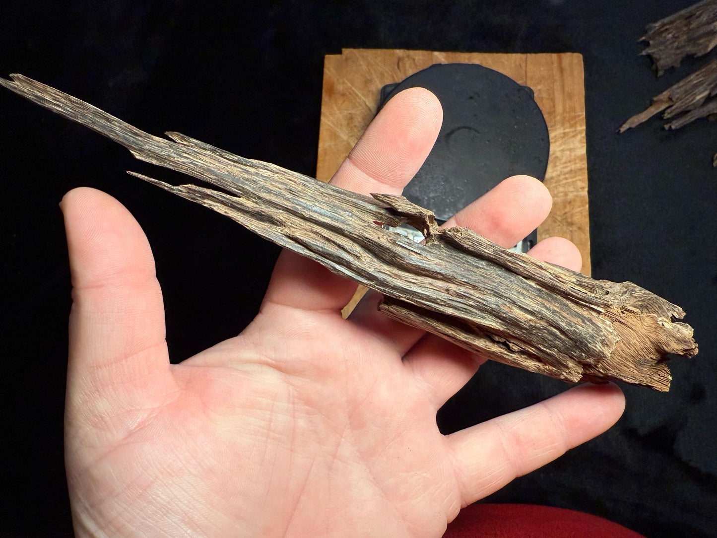 Wild Old Tree Indian Hindi Agarwood - Hmarkhawlien, Assam / Manipur Border (23 grams)