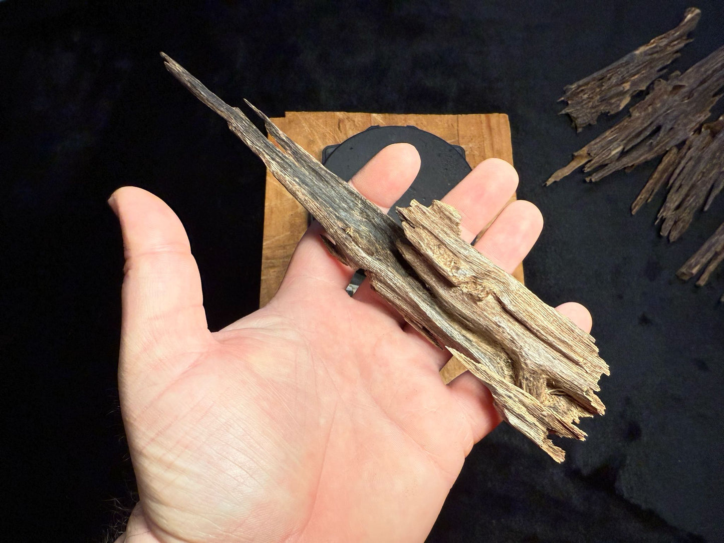 Wild Old Tree Indian Hindi Agarwood - Hmarkhawlien, Assam / Manipur Border (23 grams)