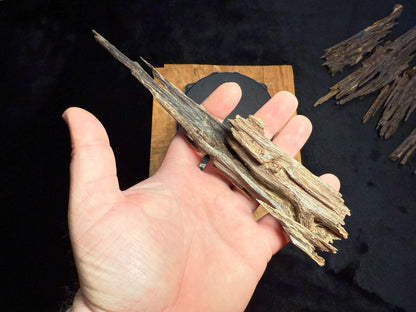 Wild Old Tree Indian Hindi Agarwood - Hmarkhawlien, Assam / Manipur Border (23 grams)