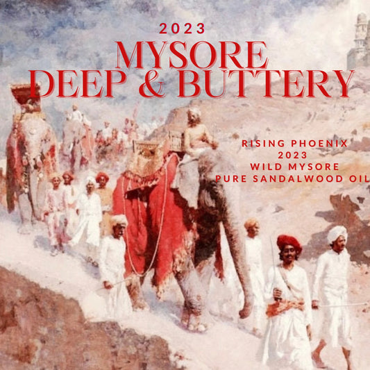 Mysore Deep & Buttery 2023 Sandalwood Oil - Pure Indian Sandalwood - Rising Phoenix Perfumery - RisingPhoenixPerfumery.com