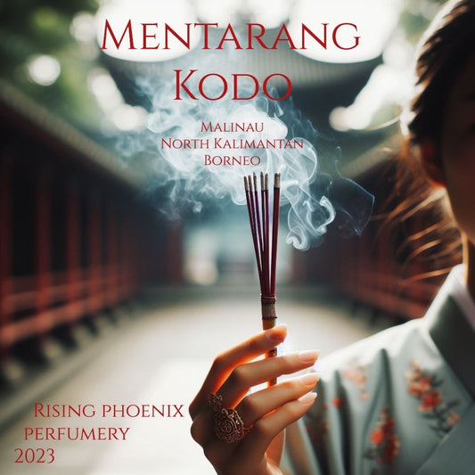 Mentarang Kodo 2023 : Malinau North Kalimantan Borneo Island Indonesian Malaccensis & Hirta / Candan - Pure Artisan Dehn al Oud - RPP