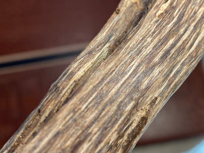 Brunei / Sabah Border 48g - Microcarpa Wild Agarwood - East Malaysia - Borneo - Kalimantan - Gaharu - Rising Phoenix Perfumery