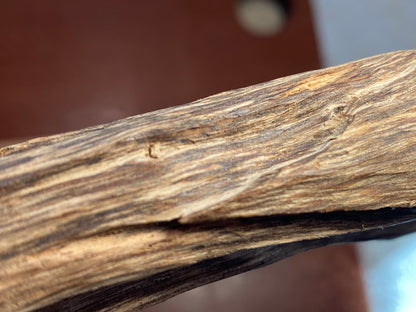 Brunei / Sabah Border 48g - Microcarpa Wild Agarwood - East Malaysia - Borneo - Kalimantan - Gaharu - Rising Phoenix Perfumery