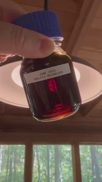 Garlois 2025 - Meghalaya - India - Pure Artisan Hindi Oud Oil - Dehn al Oud