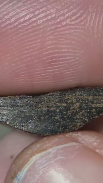 Jade Dew - 181g Meiji Log - Golden Triangle - Ateek Agarwood - Kynam - Kyara - (Korean: 비취이슬, Kanji: 翠露, Japanese: Midori Ro, English: Jade Dew)