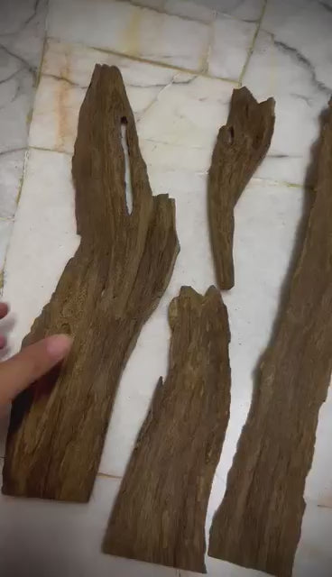 Ant and Clay 2022  - Kuala Pilah - Negeri Sembilan - West Malaysia - Pure Artisan Malay Oud Oil - Dehn al Oud