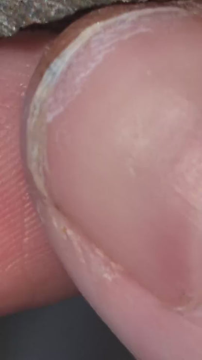 Jade Dew - 181g Meiji Log - Golden Triangle - Ateek Agarwood - Kynam - Kyara - (Korean: 비취이슬, Kanji: 翠露, Japanese: Midori Ro, English: Jade Dew)