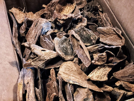 Timor L'este - a RARE and distinctive Timor Island Agarwood - Gyrinops Versteegii - 帝汶雙頭尖 - RisingPhoenixPerfumery.com