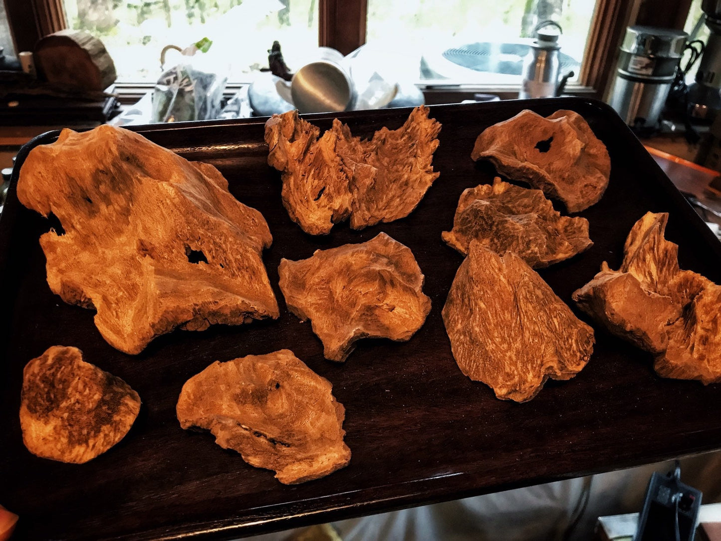Sumbawa Chips - a RARE and distinctive Gyrinops Agarwood - Gyrinops Versteegii : West Nusa Tenggara - RisingPhoenixPerfumery.com