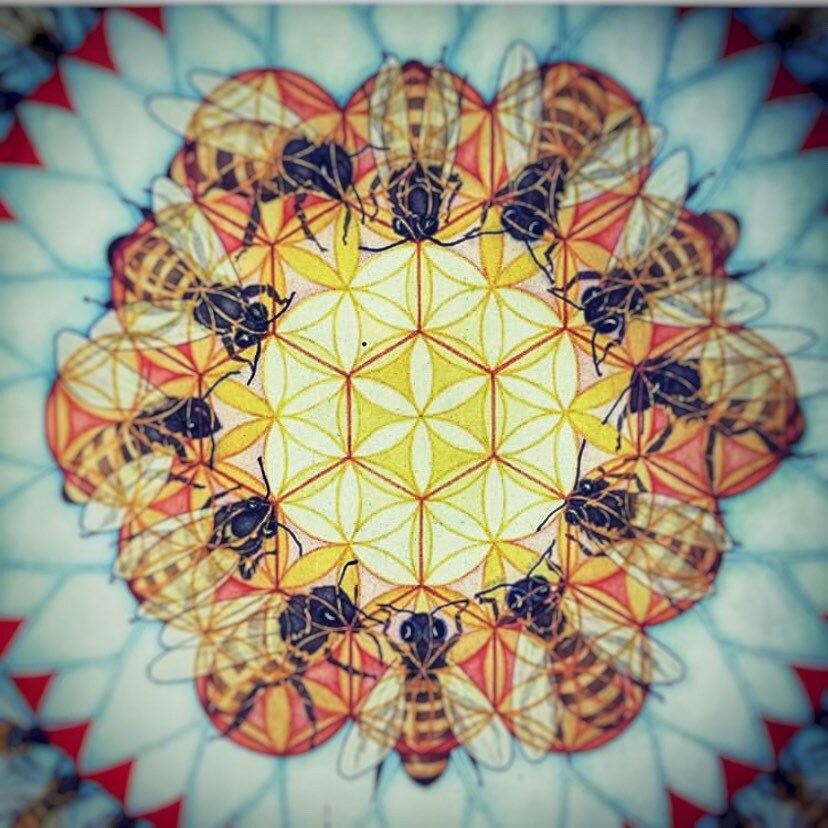 Hive Attar 2020 : Collaboration with Bodhi - RisingPhoenixPerfumery.com