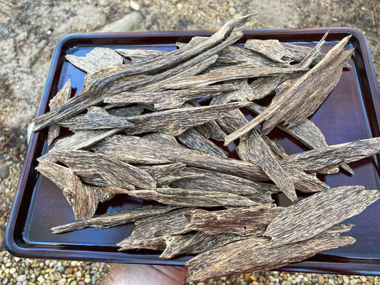 Takengon Agarwood Chips - Central Aceh Province, Sumatra, Indonesia - RisingPhoenixPerfumery.com