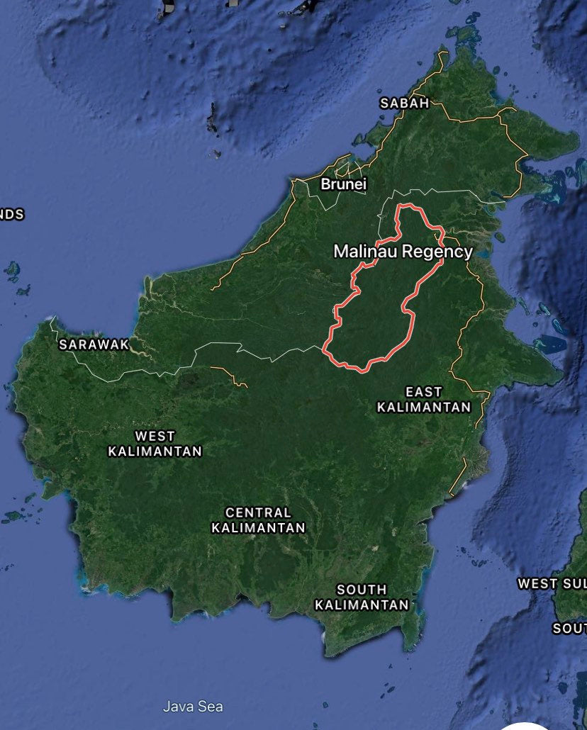 Paking Senkoh 2021 : West of Malinau City Incense Sticks - Northern Borneo/Kalimantan, Indonesian Series - RisingPhoenixPerfumery.com