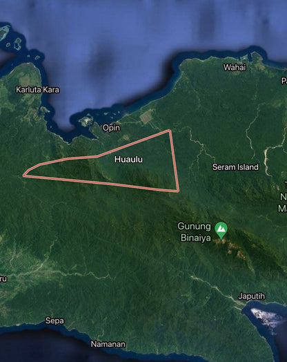 Huaulu Hoaoeloe Seram I Senkoh 2021 - Northern Seram, Central Maluku - Incense Sticks - Indonesian Series - RisingPhoenixPerfumery.com