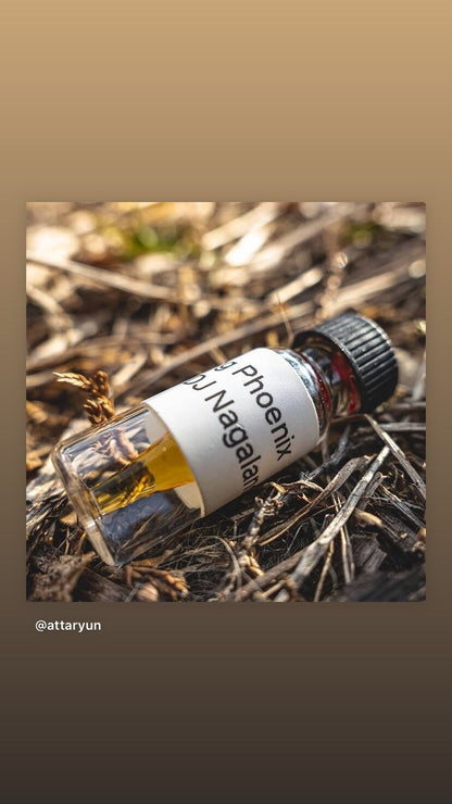 RDJ 2020 Nagaland Oud : Rangapahar, Dimapur, and Jalukie Co-distillation - Pure Wild Hindi Oud Oil - RisingPhoenixPerfumery.com