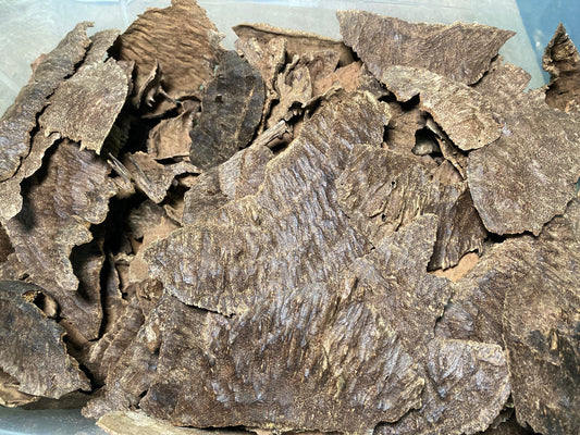 Lunglei Guf 2021 Mizoram Triple + : Agarwood Chips - RisingPhoenixPerfumery.com