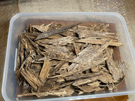 Terengganu 2022 Lot 1 Insect Wood - Wild Malaysian Agarwood - RisingPhoenixPerfumery.com