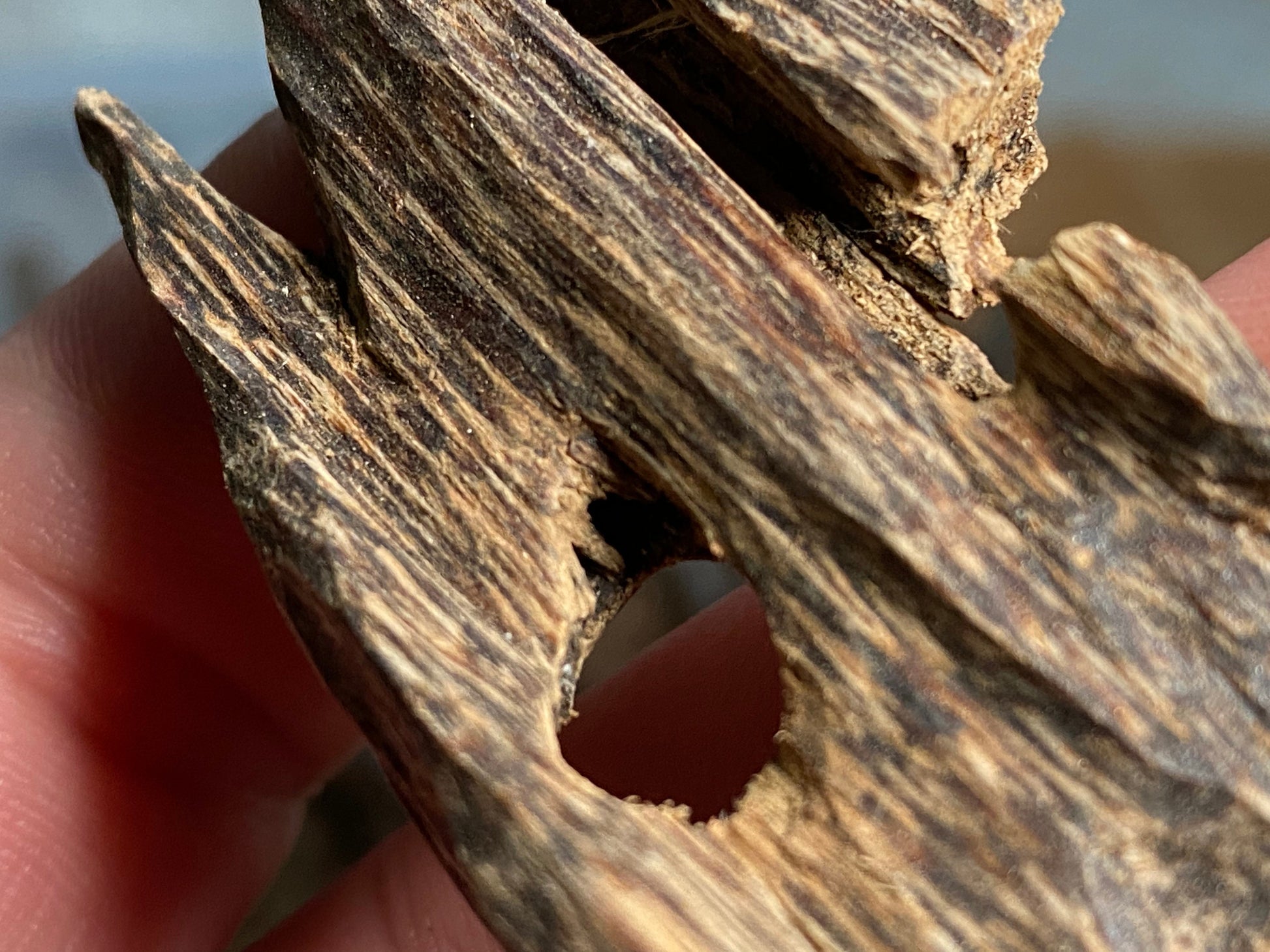Prachin 2022 Lot 1 Thai Agarwood Chips - Bakhoor al Oudh - RisingPhoenixPerfumery.com