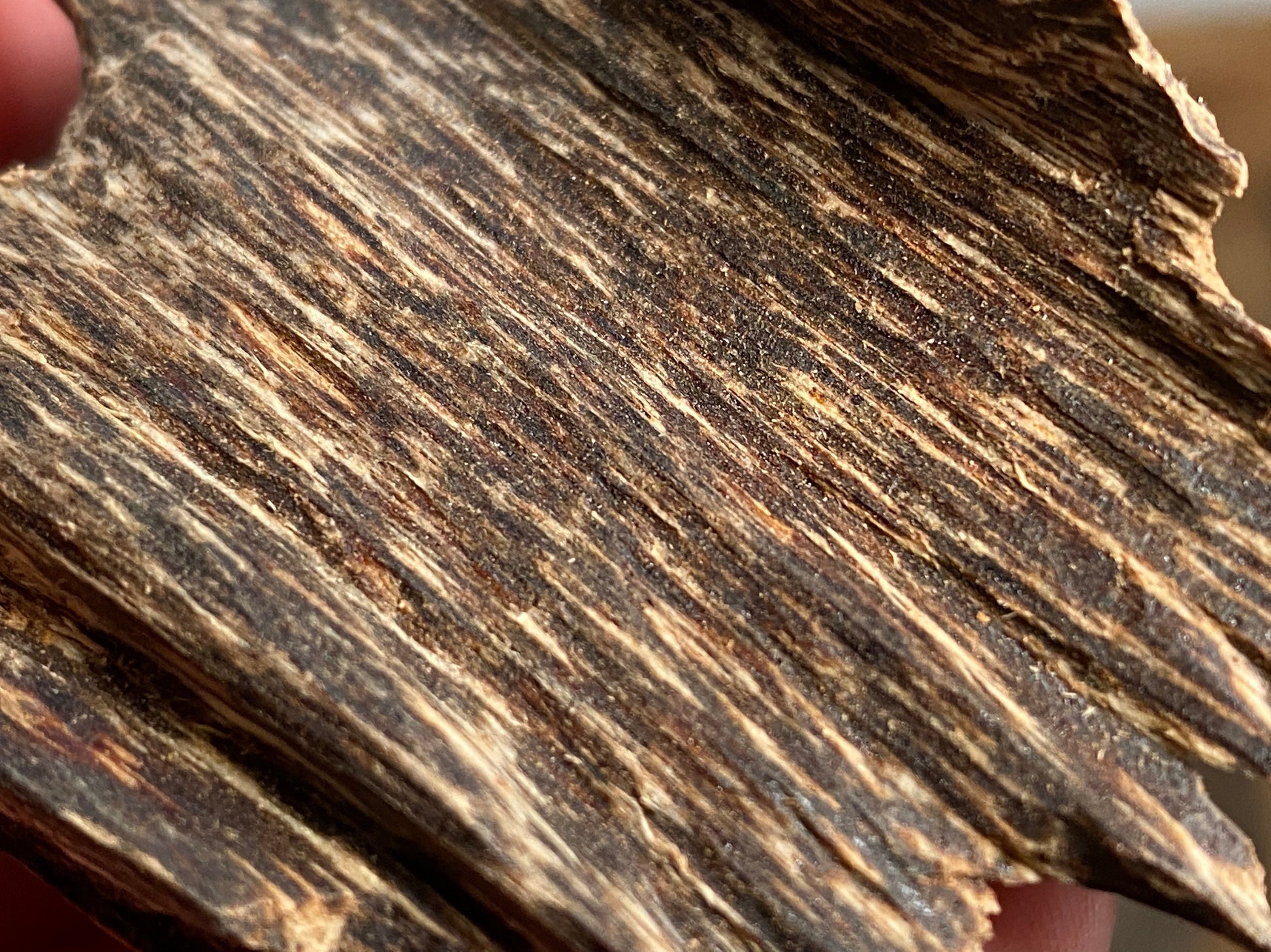 Prachin 2022 Lot 1 Thai Agarwood Chips - Bakhoor al Oudh - RisingPhoenixPerfumery.com