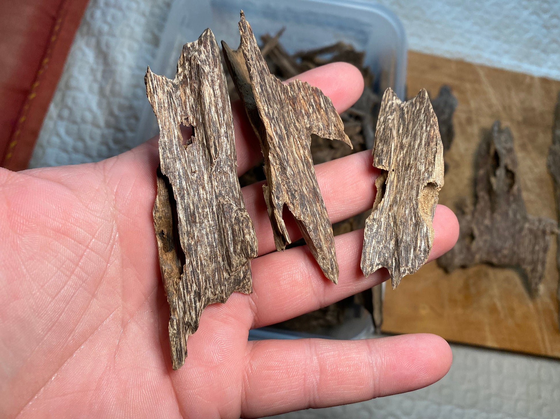 Prachin 2022 Lot 1 Thai Agarwood Chips - Bakhoor al Oudh - RisingPhoenixPerfumery.com