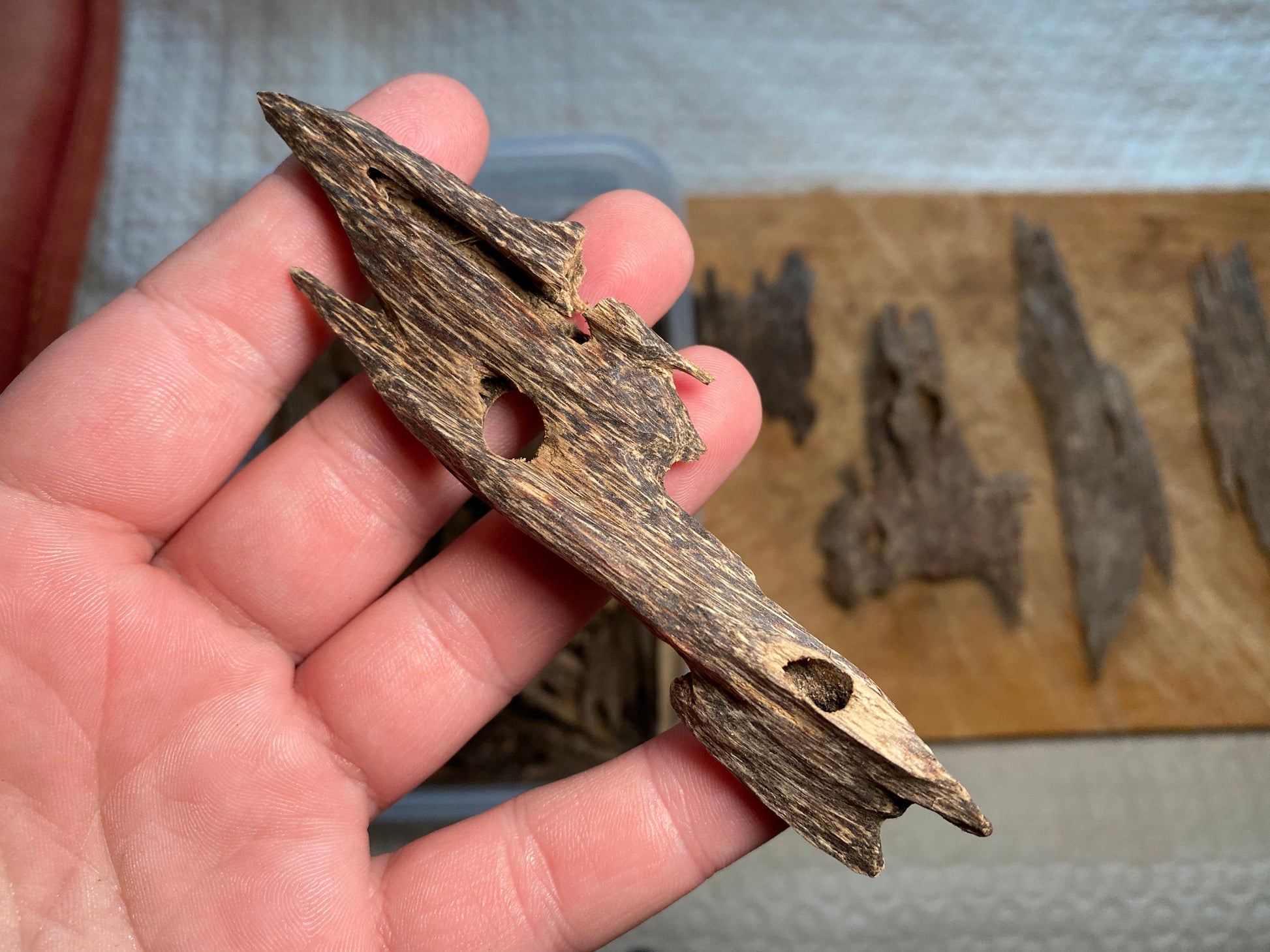 Prachin 2022 Lot 1 Thai Agarwood Chips - Bakhoor al Oudh - RisingPhoenixPerfumery.com