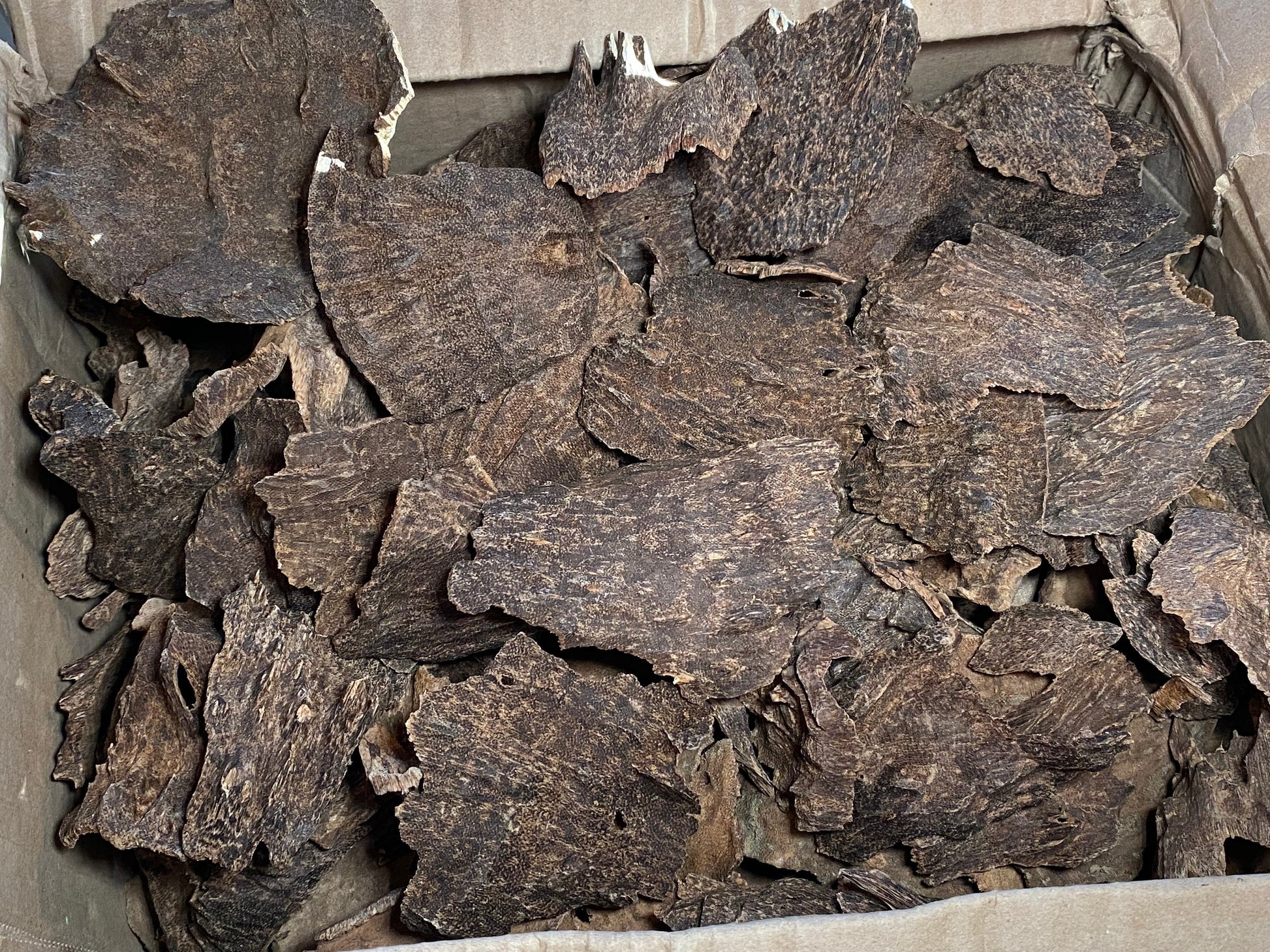 Jiribam Char 2022 Lot 4 - Larger/Thicker Pieces of Manipuri Agarwood - Bakhoor - Indian/Hindi Agarwood - RisingPhoenixPerfumery.com