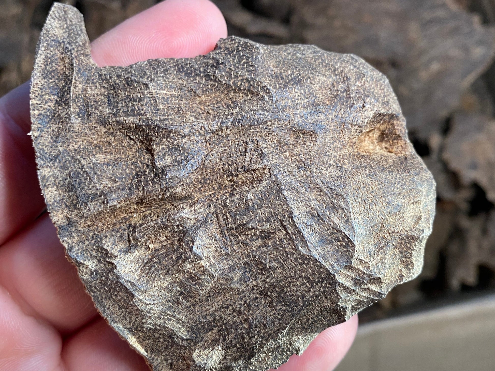Jiribam Char 2022 Lot 4 - Larger/Thicker Pieces of Manipuri Agarwood - Bakhoor - Indian/Hindi Agarwood - RisingPhoenixPerfumery.com