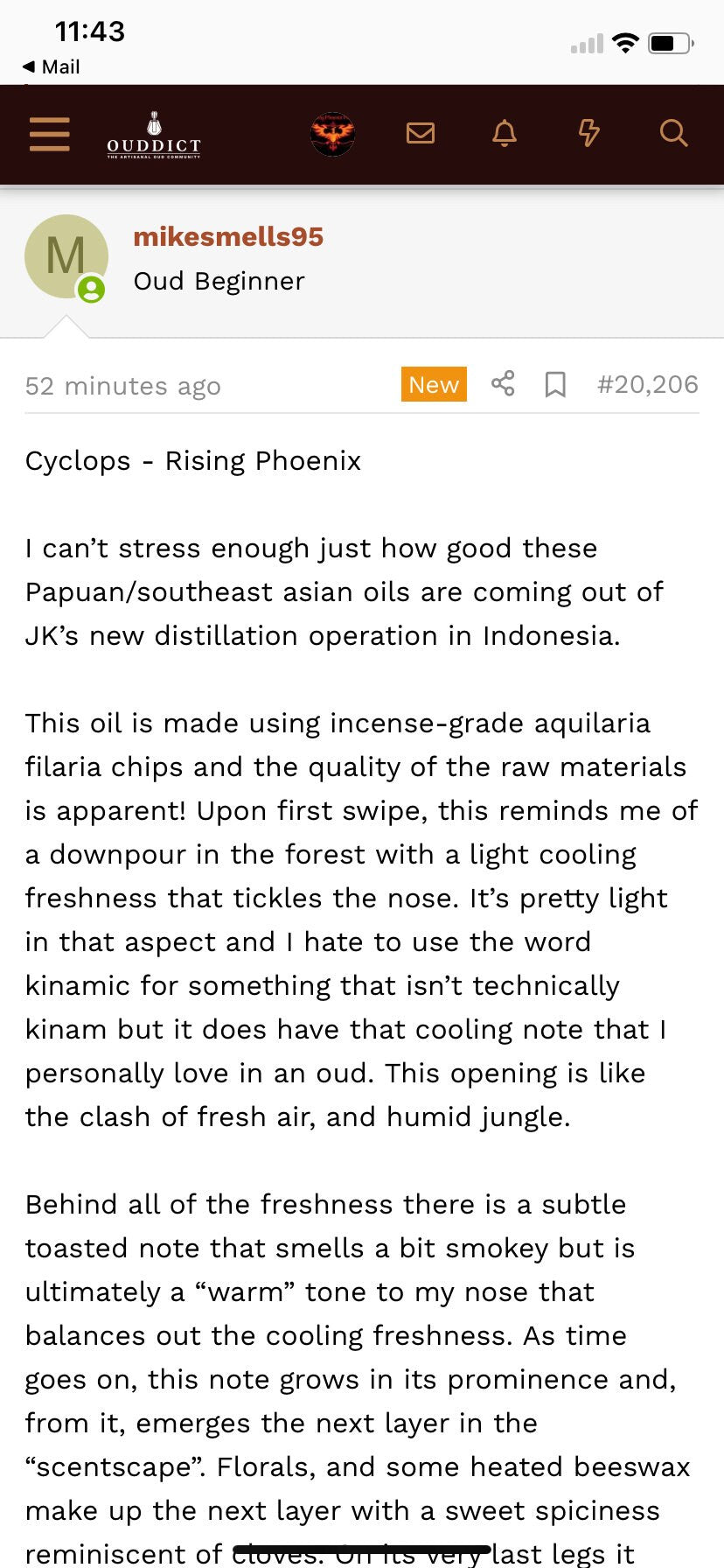 Cyclops 2022 : Sentani Pengunungan Cycloops Mountain - Jayapura, Papua - Pure Oud Oil - Dehn al Oudh - RisingPhoenixPerfumery.com