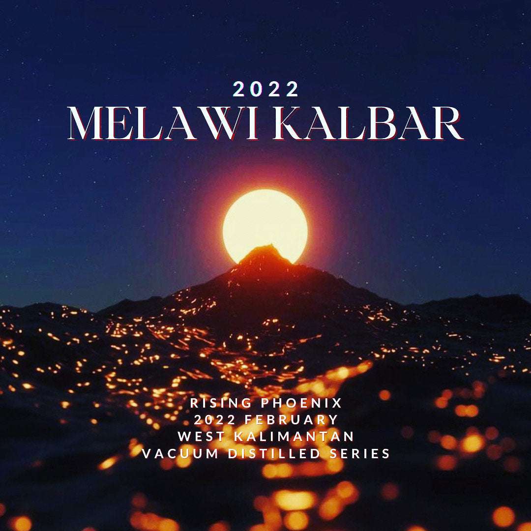 Melawi Kalbar 2022 : West Kalimantan Borneo Island Co-Distillation Malaccensis/Hirta - Pure Oud Oil - Pure Artisan Dehn al Oud - RisingPhoenixPerfumery.com