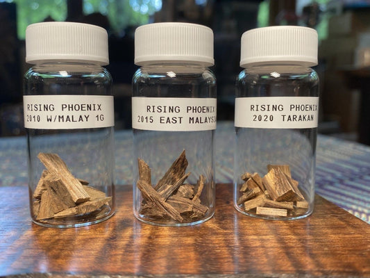 Agarwood Premium Sample Set  : West Malaysian Tiger/East Malaysian/Tarakan - Bead Grade - Incense - Heartwood - Rising Phoenix Perfume - RisingPhoenixPerfumery.com