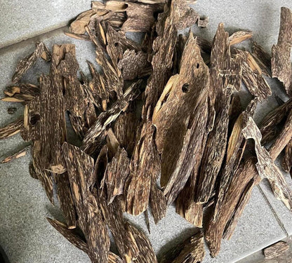 Borikhamxay 2023 : New Gen Incense Grade Wild Central Laos Antwood Pure Dehn al Oud - Rising Phoenix Perfumery - RisingPhoenixPerfumery.com